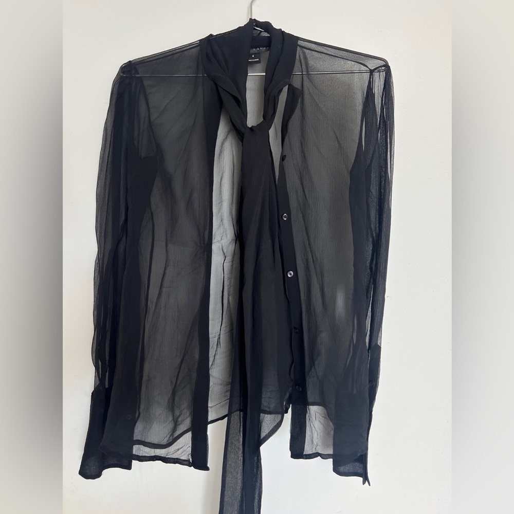 Ralph Lauren Sheer Button Down